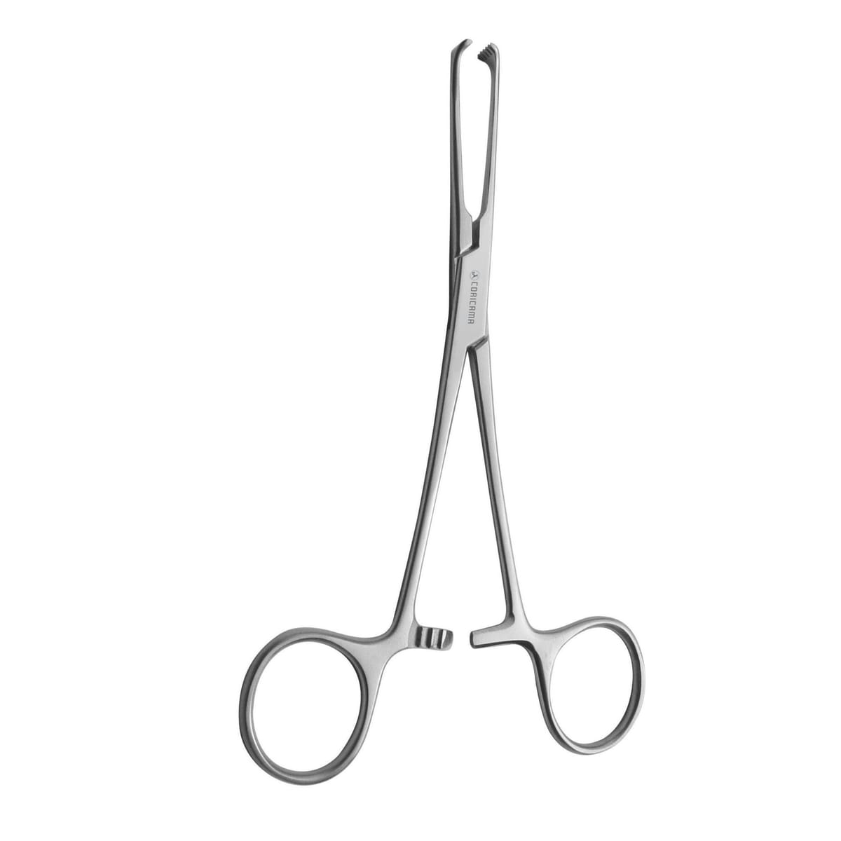 PLIER ALLIS 3:4 mm150 569150 – Coricama srl, Chirurgische Instrumente