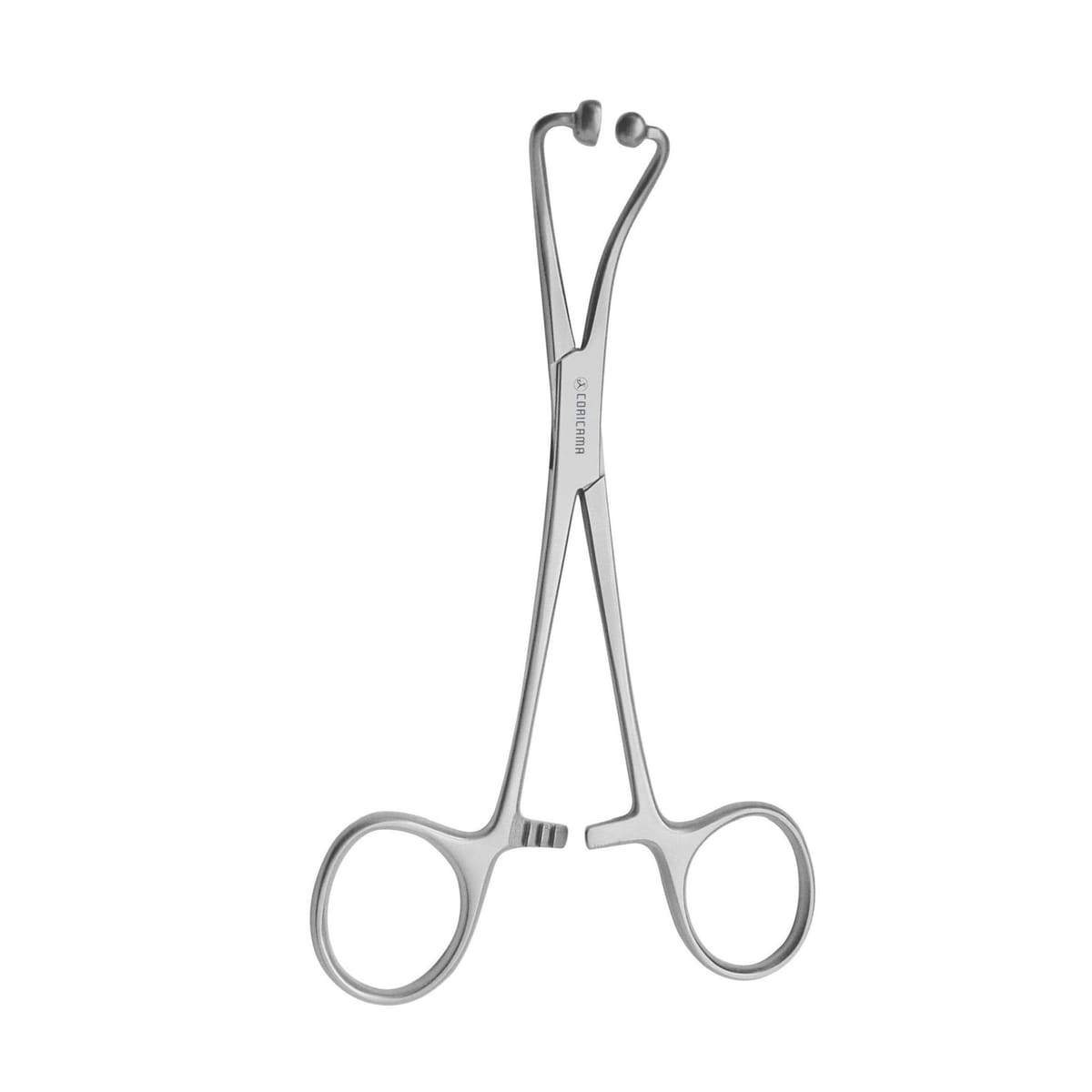 PLIER BACKHAUS mm140 569350 – Coricama srl, Chirurgische Instrumente
