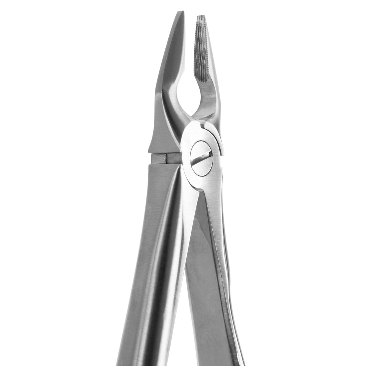TOOTH FORCEPS BLADE BEAKS N.34-N 612220 – Coricama srl, Extraktionszangen