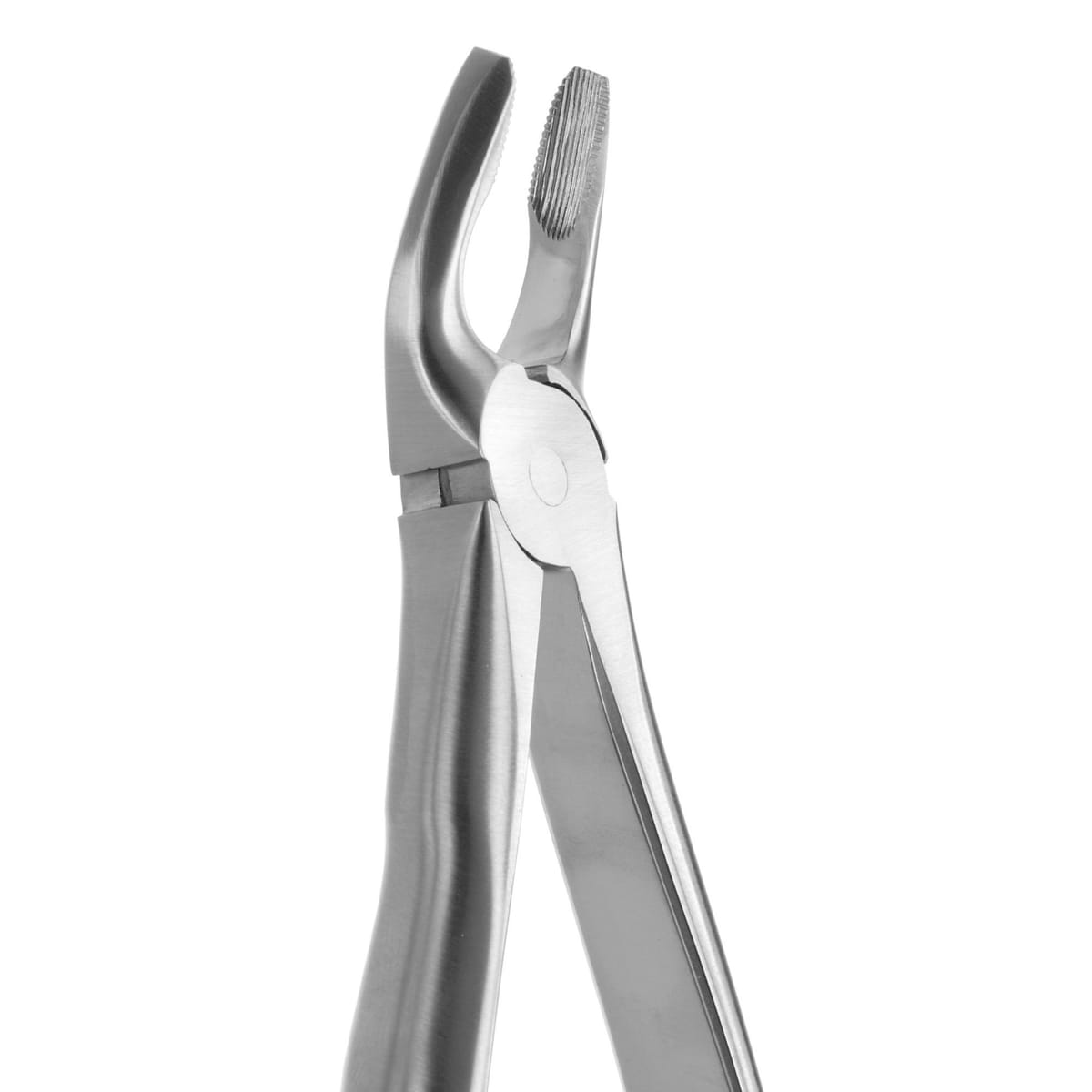 TOOTH FORCEPS BLADE BEAKS N. 7 612230 – Coricama srl, Extraktionszangen