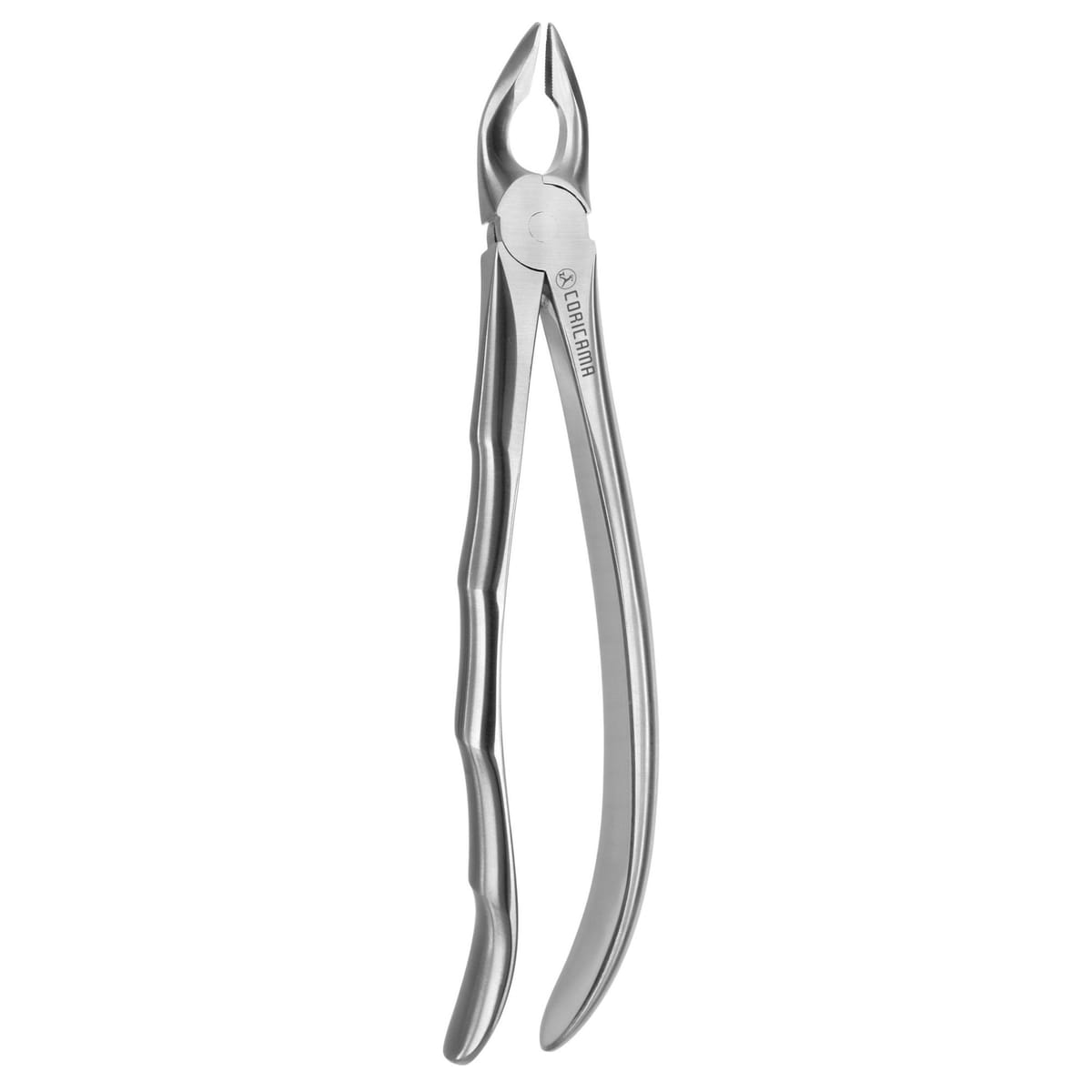 TOOTH FORCEPS BLADE BEAKS N.35-N 612240 – Coricama srl, Extraktionszangen