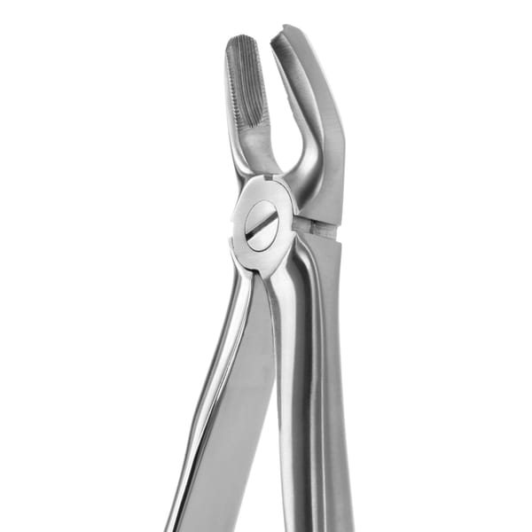 TOOTH FORCEPS BLADE BEAKS N.18 612260