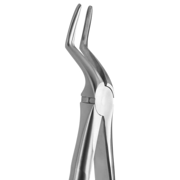 TOOTH FORCEPS BLADE BEAKS N.51-AL 612275