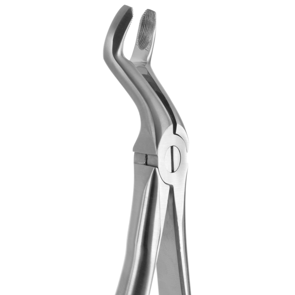 TOOTH FORCEPS BLADE BEAKS N.67 612280 – Coricama srl, Extraktionszangen