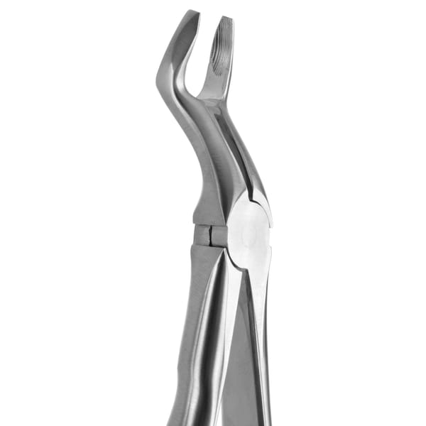 TOOTH FORCEPS BLADE BEAKS N.67-N 612285