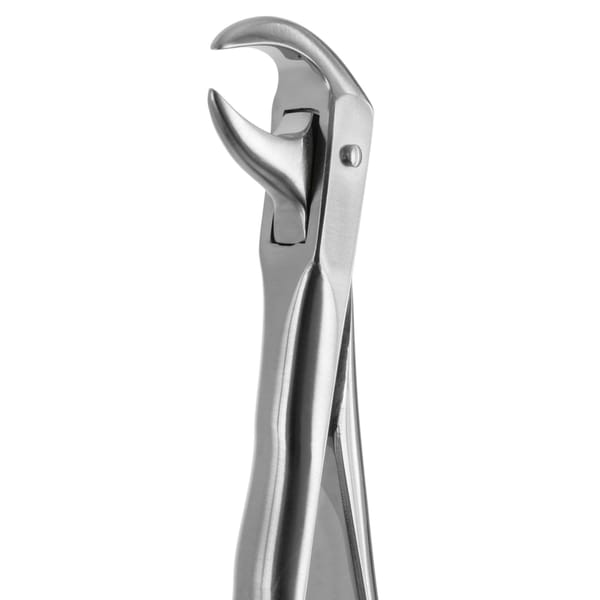 TOOTH FORCEPS BLADE BEAKS N.86 612420