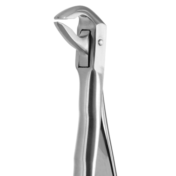 TOOTH FORCEPS BLADE BEAKS N.74 612430