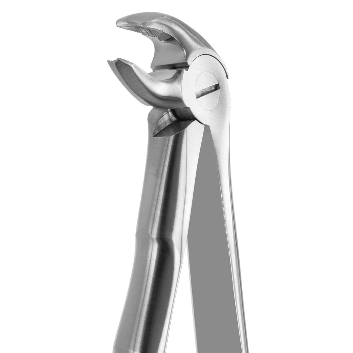 TOOTH FORCEPS BLADE BEAKS N.13 612440 – Coricama srl, Extraktionszangen