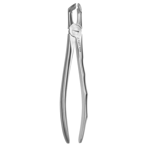 TOOTH FORCEPS BLADE BEAKS N.79 612450