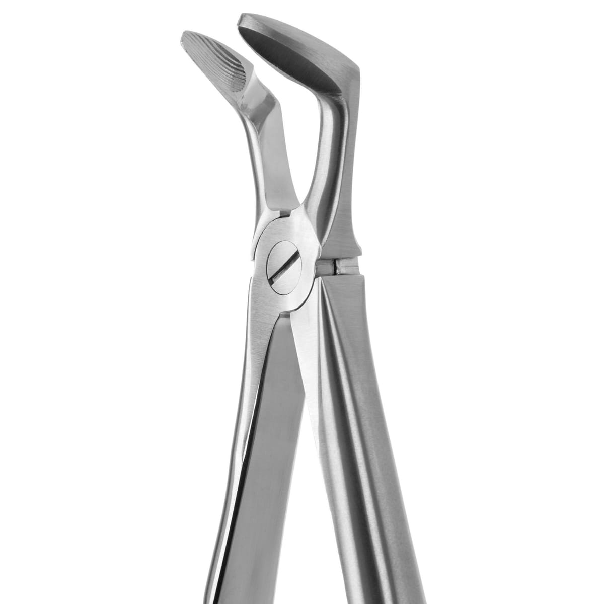 TOOTH FORCEPS BLADE BEAKS N.79-N 612455 – Coricama srl, Extraktionszangen