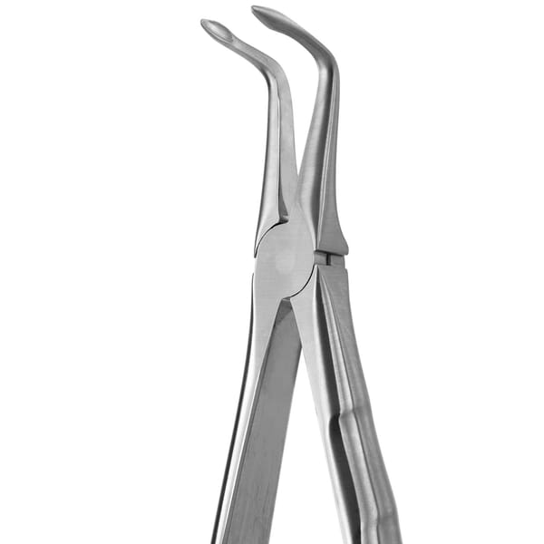 TOOTH FORCEPS BLADE BEAKS N.187 612460