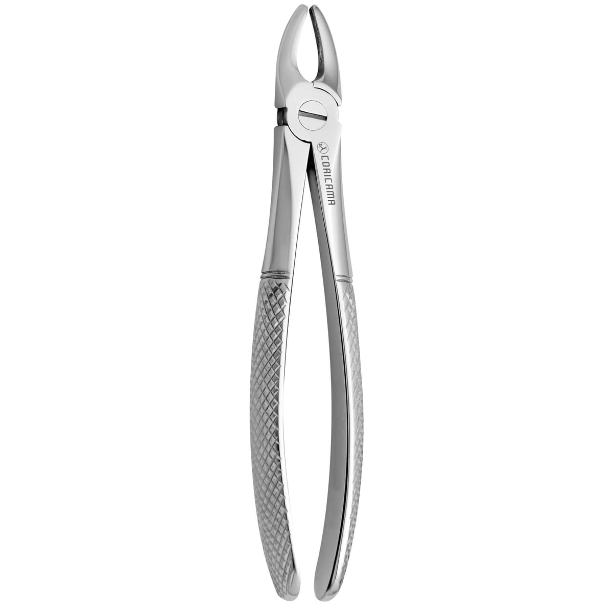TOOTH FORCEPS N. 2 625120 – Coricama srl, Extraktionszangen