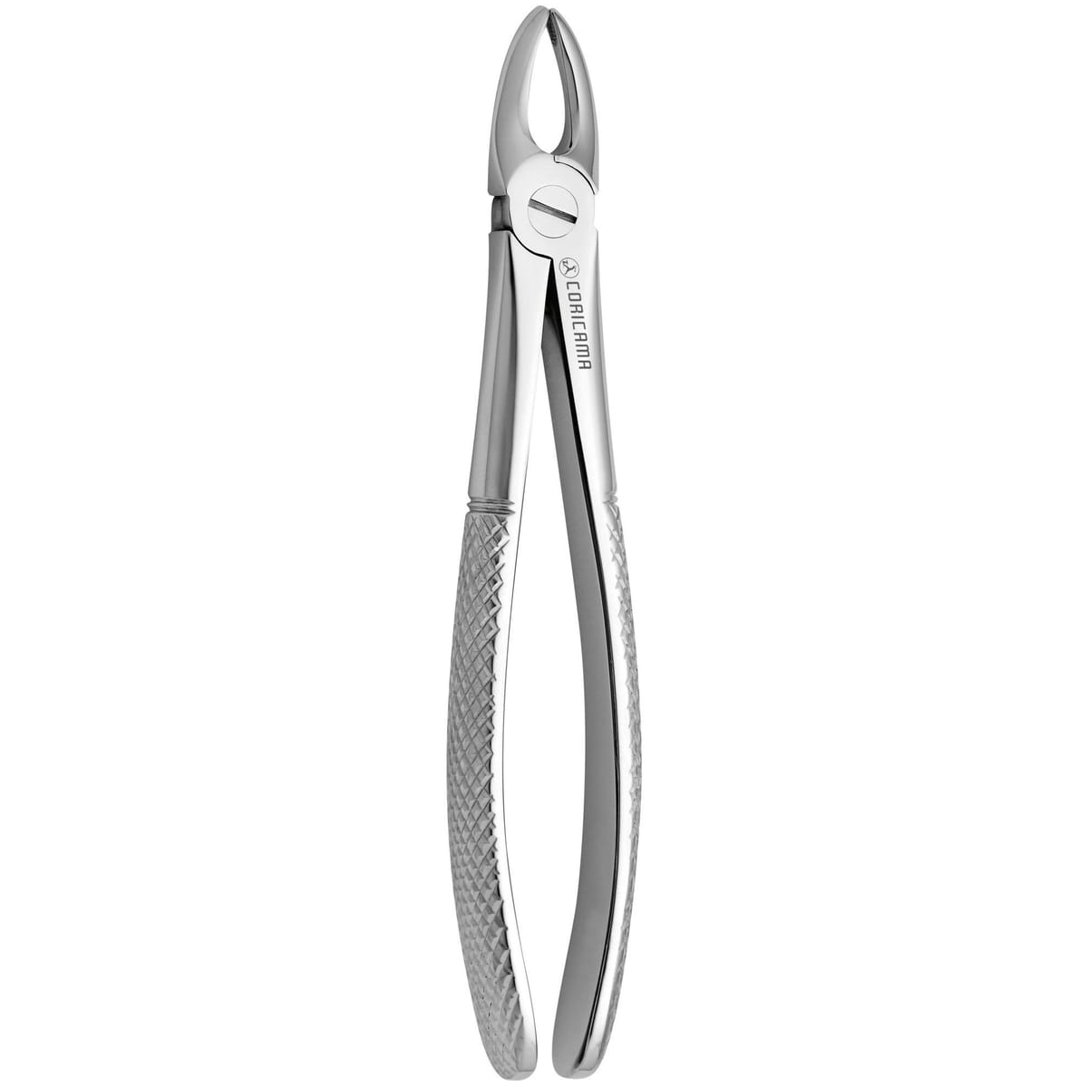 TOOTH FORCEPS N. 3 625130 – Coricama srl, Extraktionszangen