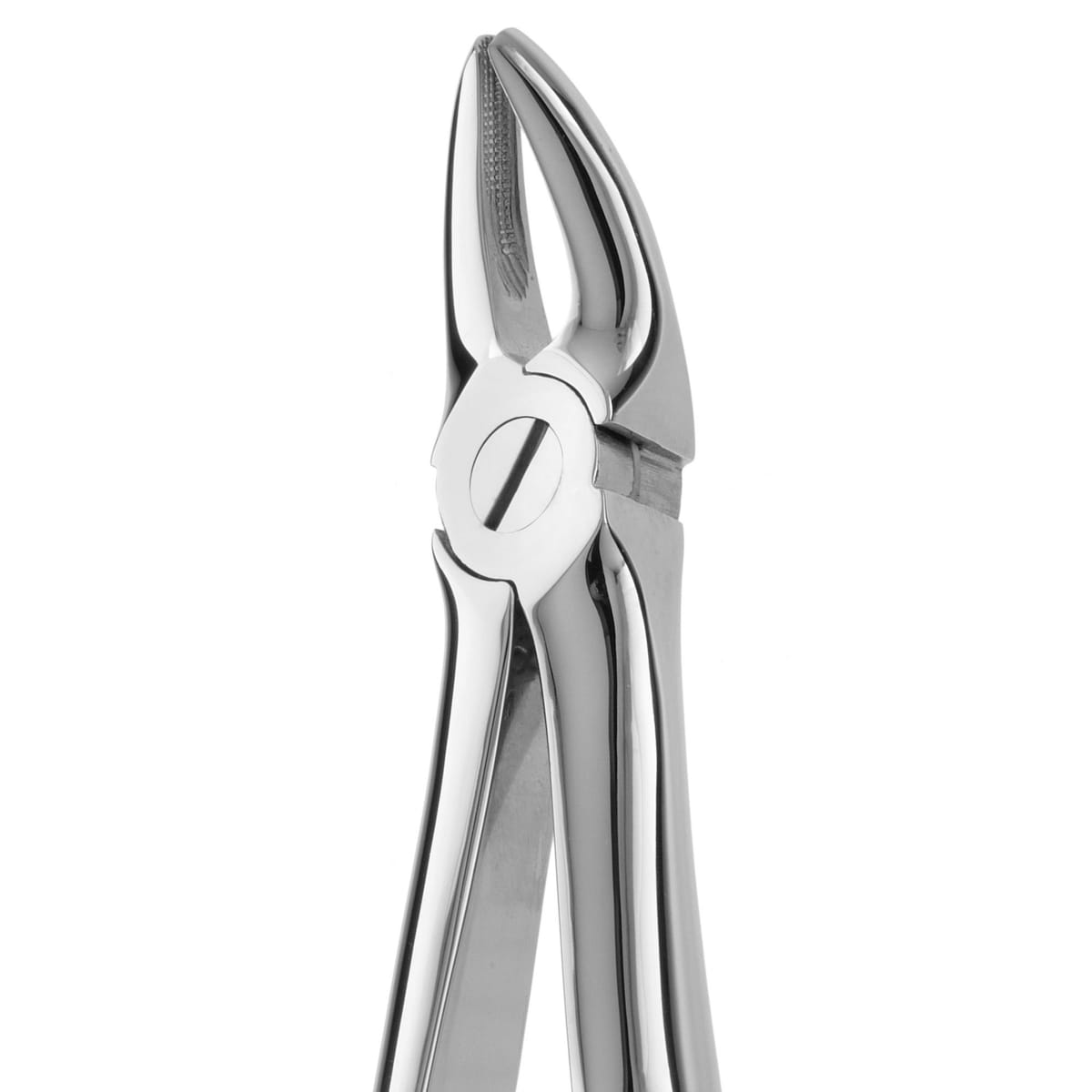 TOOTH FORCEPS N.136 625180 – Coricama srl, Extraktionszangen