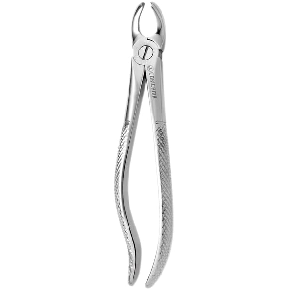 TOOTH FORCEPS N. 97 625280
