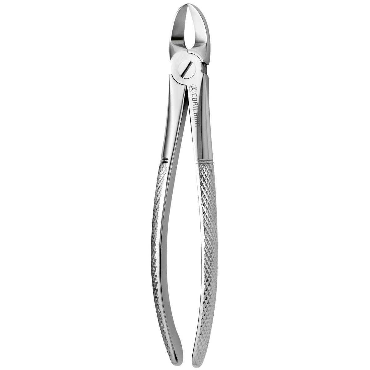 TOOTH FORCEPS N. 55 625350 – Coricama srl, Extraktionszangen