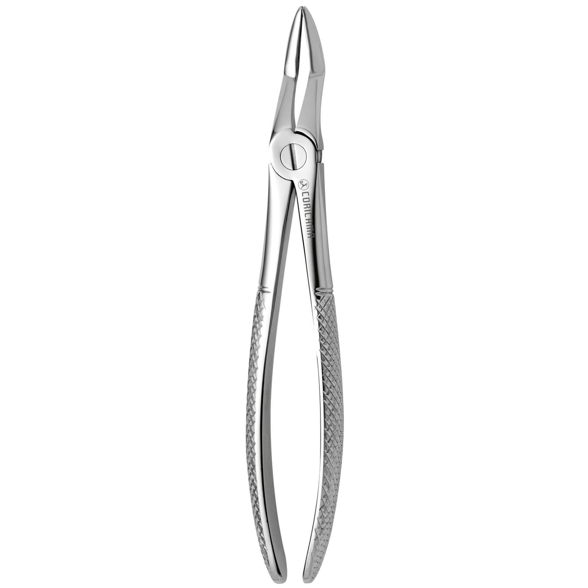 TOOTH FORCEPS N. 51 625410 – Coricama srl, Extraktionszangen