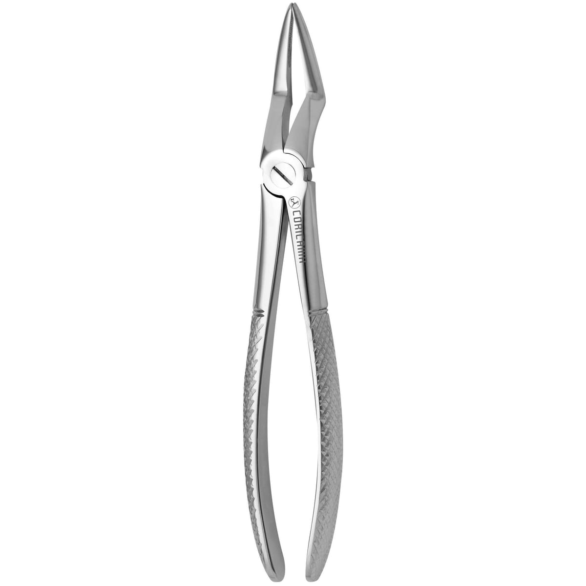 TOOTH FORCEPS N. 51-L 625420 – Coricama srl, Extraktionszangen