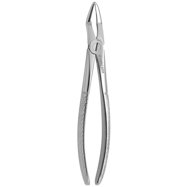 TOOTH FORCEPS N.139 TC 625430