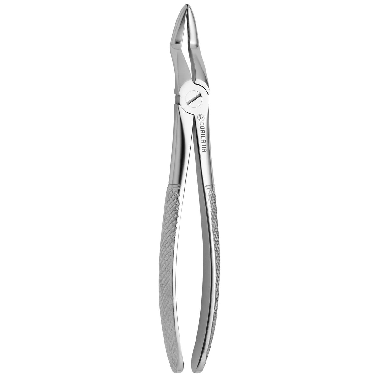 TOOTH FORCEPS N. 52 625440 – Coricama srl, Extraktionszangen