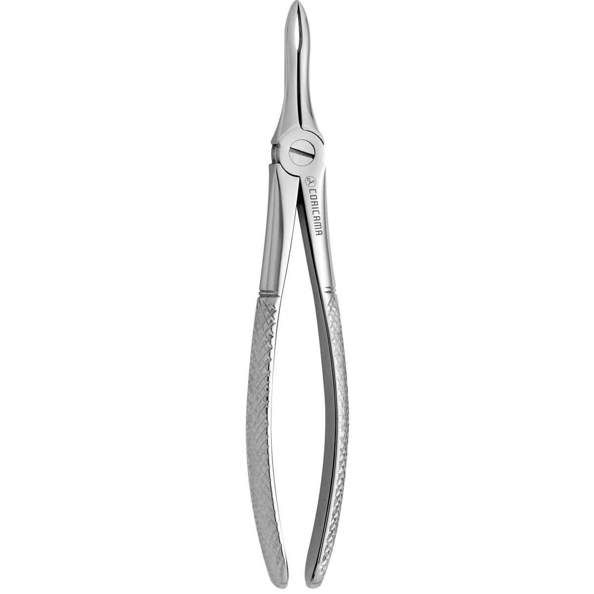 TOOTH FORCEPS N. 41 625450 – Coricama srl, Extraktionszangen