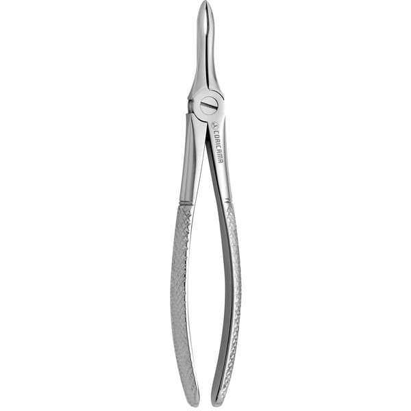 TOOTH FORCEPS N. 41 625450