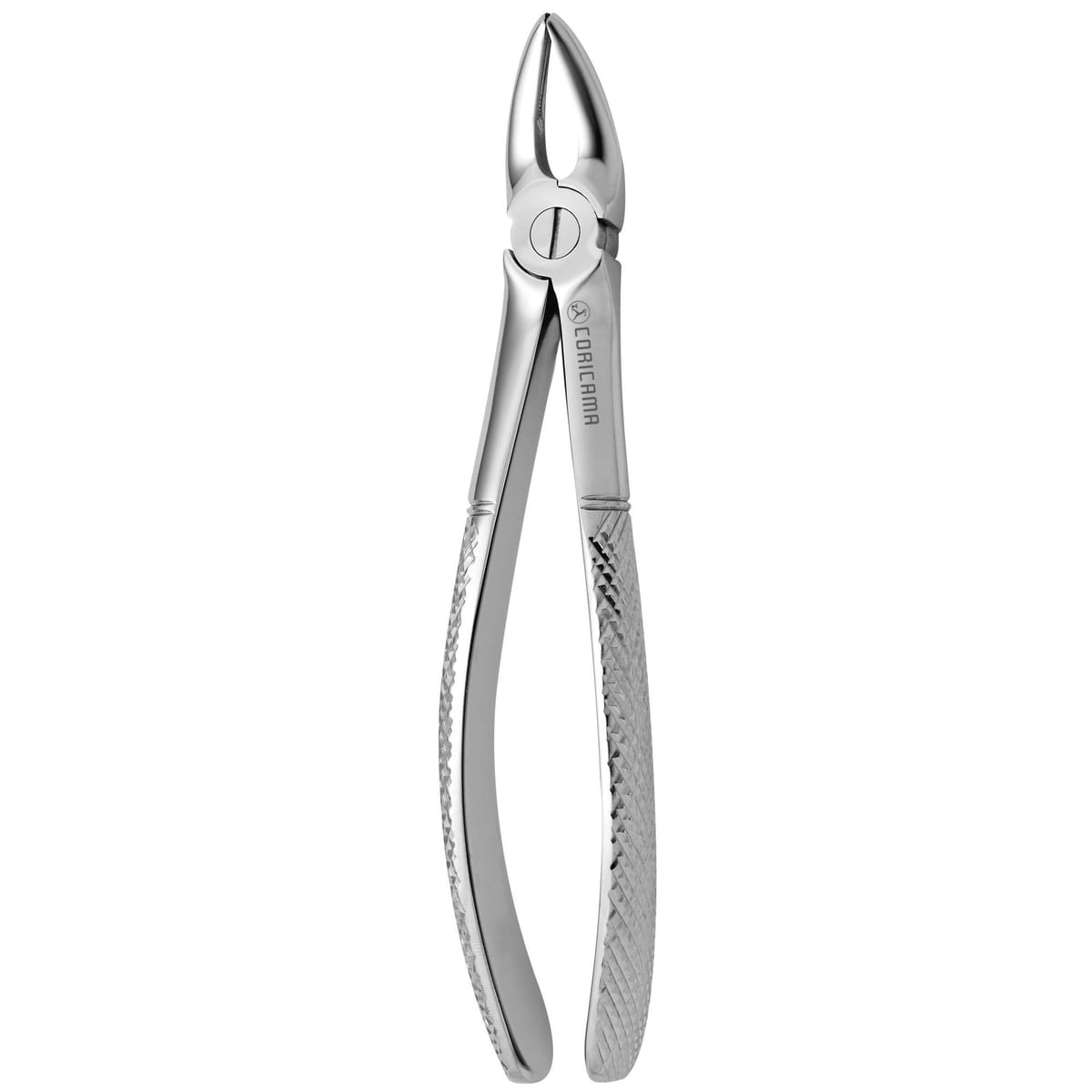 TOOTH FORCEPS N. 30 625470 – Coricama srl, Extraktionszangen