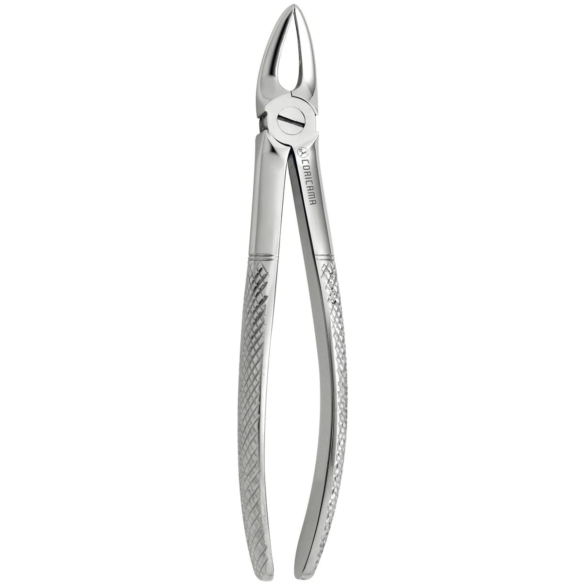 TOOTH FORCEPS N.147 625510 – Coricama srl, Extraktionszangen