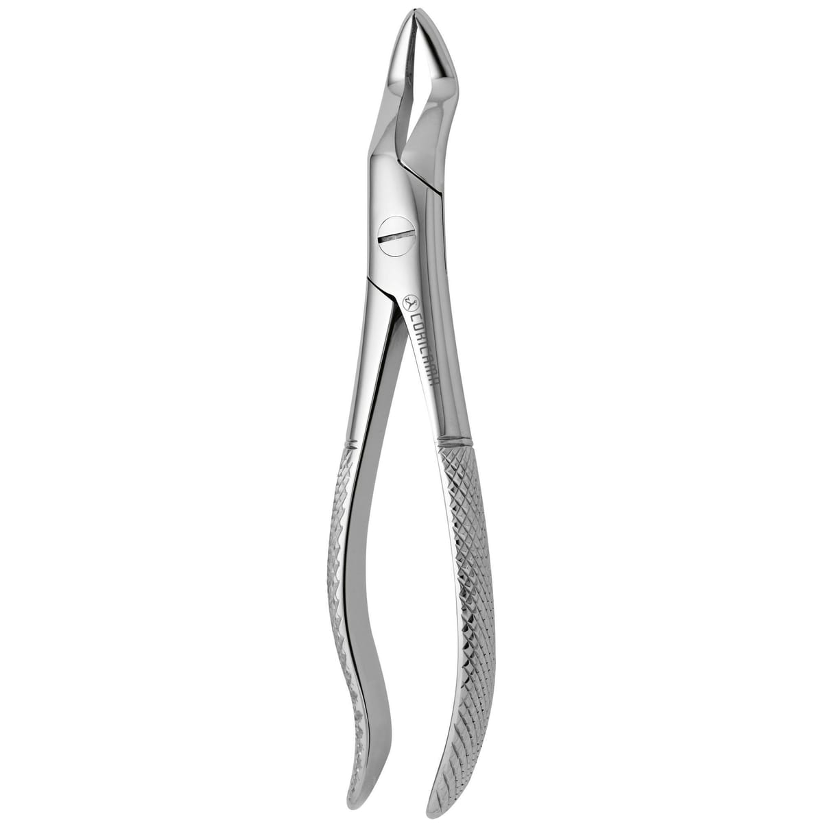 TOOTH FORCEPS N.101 625520 – Coricama srl, Extraktionszangen
