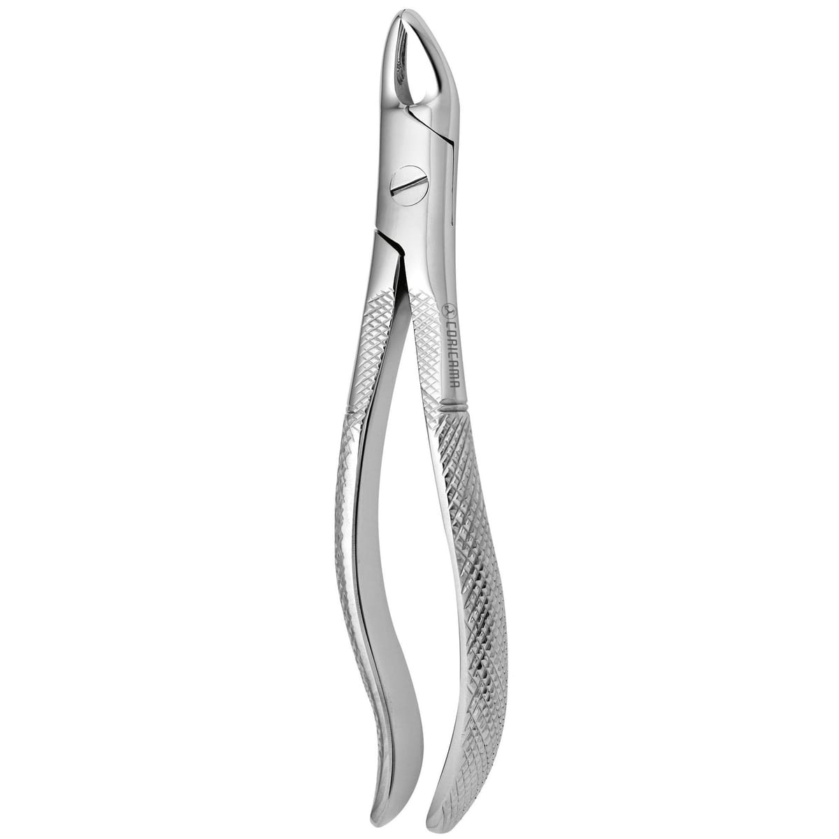 TOOTH FORCEPS N.110 625540 – Coricama srl, Extraktionszangen