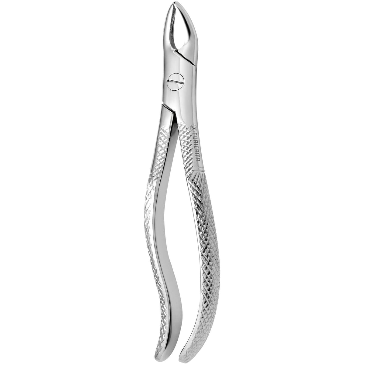 TOOTH FORCEPS N.111 625550 – Coricama srl, Extraktionszangen