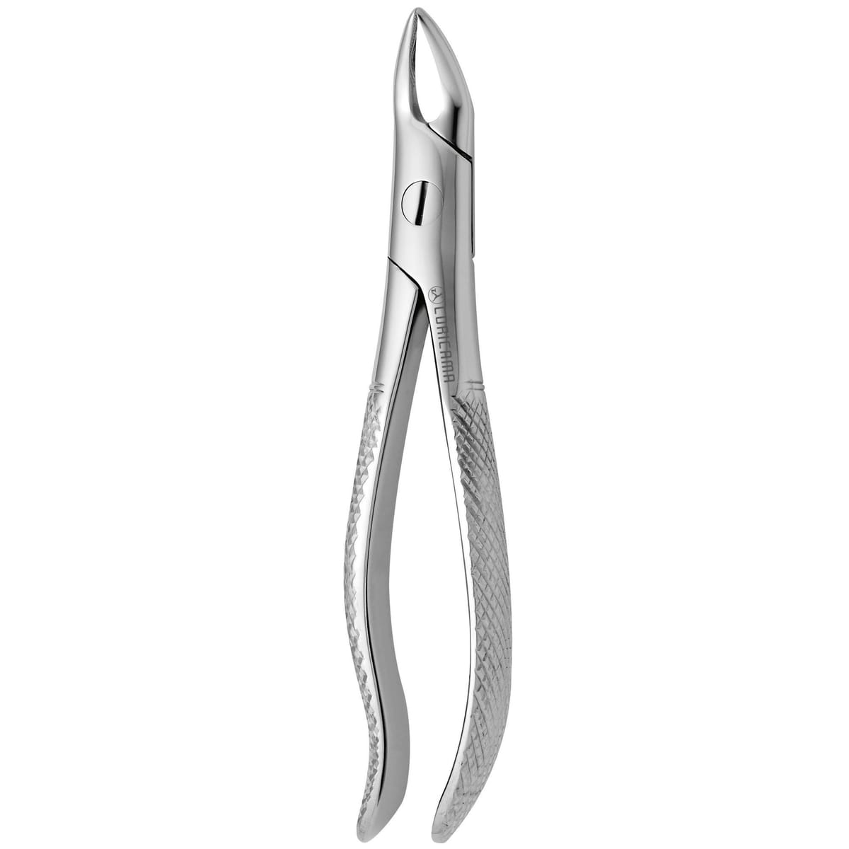 TOOTH FORCEPS N. 76-N 625565 – Coricama srl, Extraktionszangen