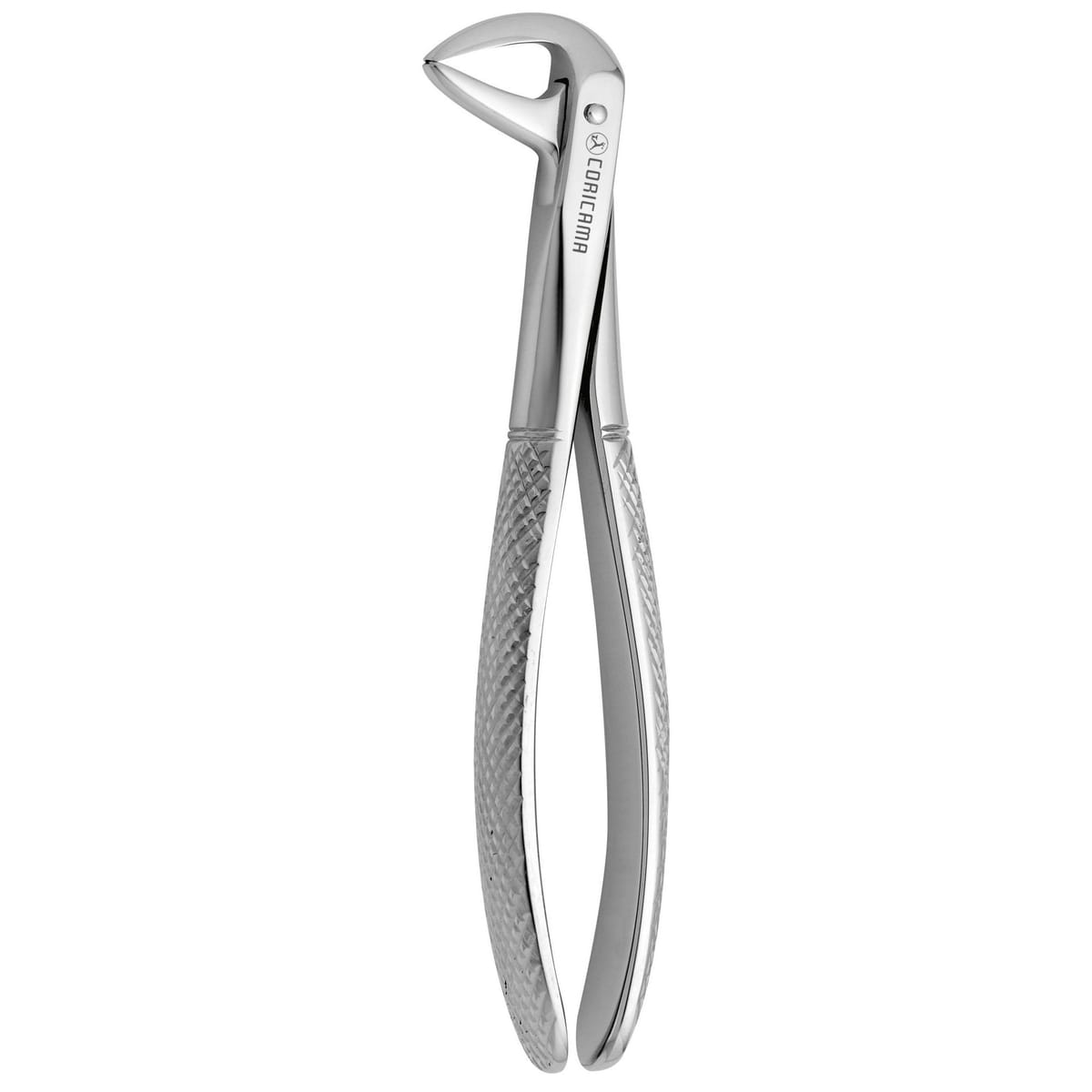 TOOTH FORCEPS N.137 625630 – Coricama srl, Extraktionszangen