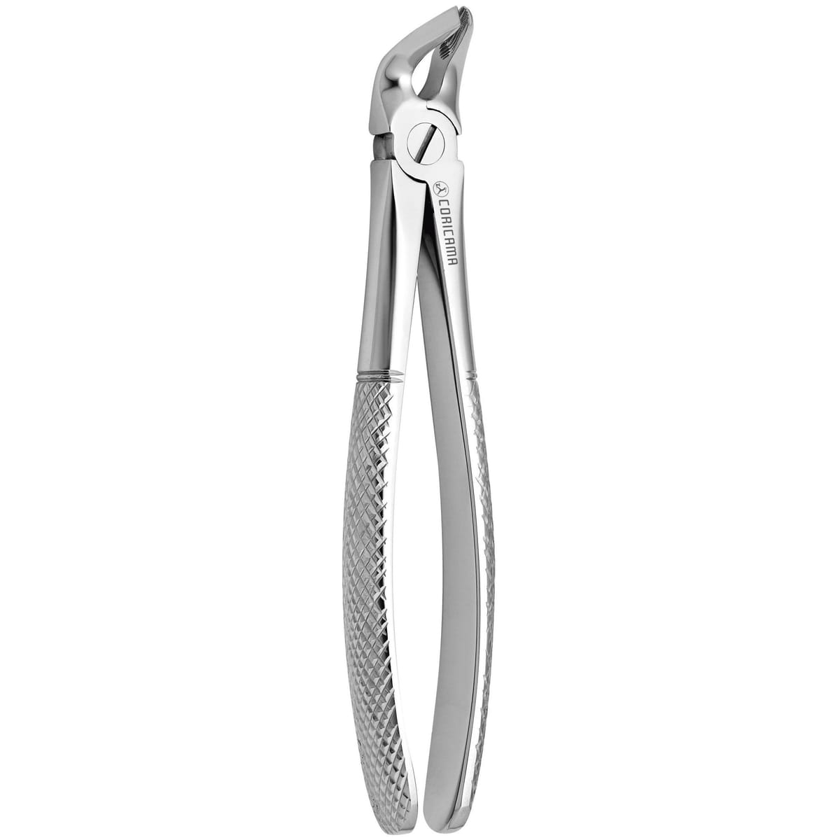 TOOTH FORCEPS N. 8 625670 – Coricama srl, Extraktionszangen