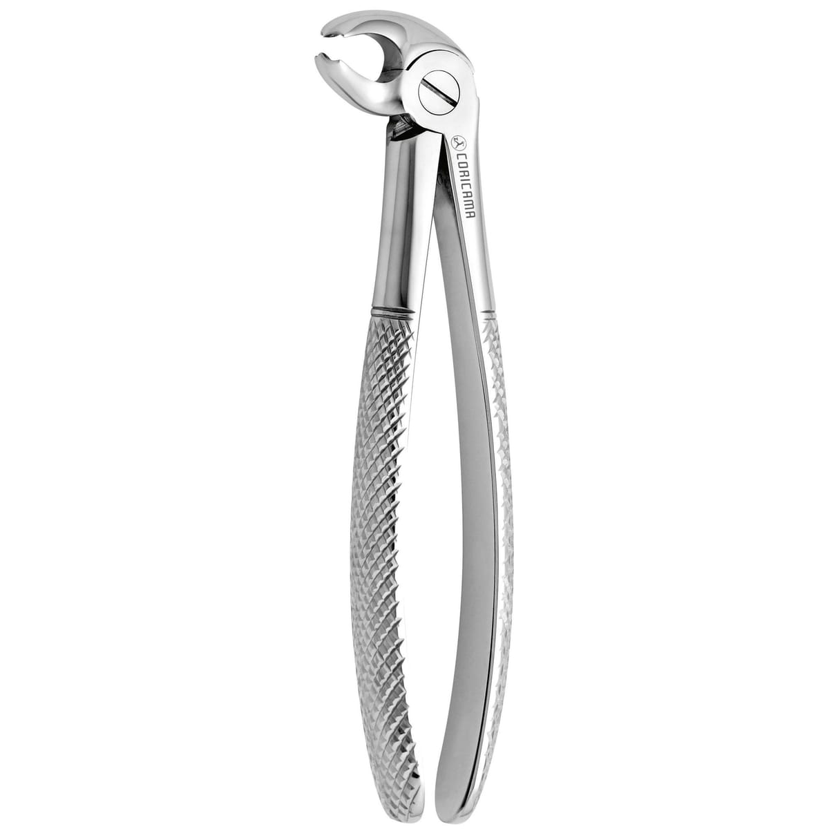 TOOTH FORCEPS N. 24 625780 – Coricama srl, Extraktionszangen