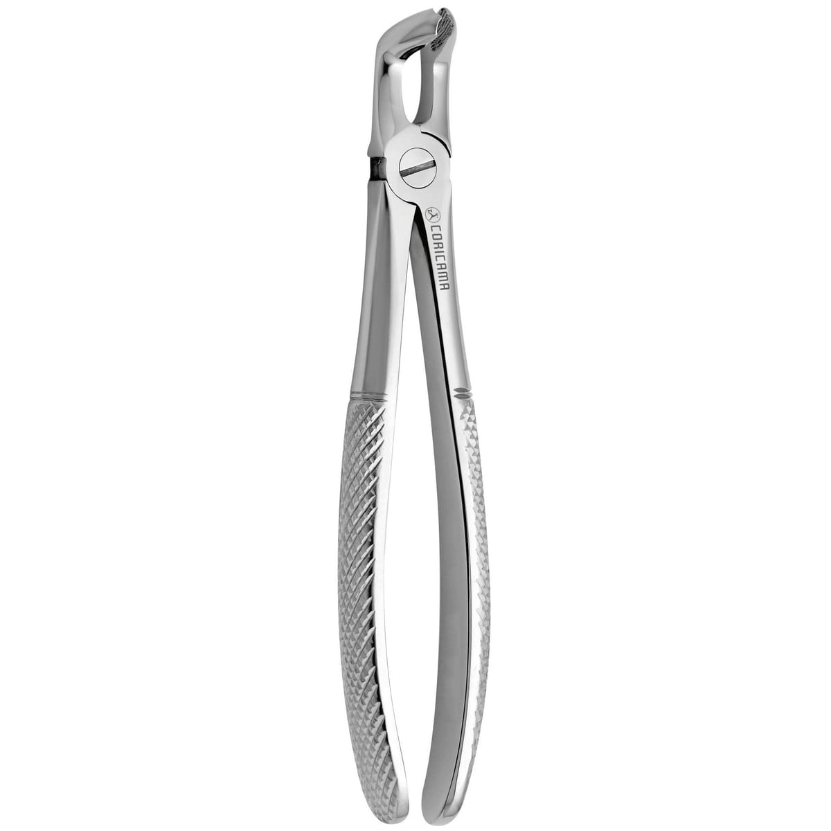 TOOTH FORCEPS N. 79 625830 – Coricama srl, Extraktionszangen