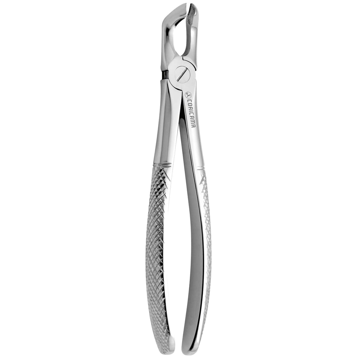 TOOTH FORCEPS N. 79-A 625835 – Coricama srl, Extraktionszangen