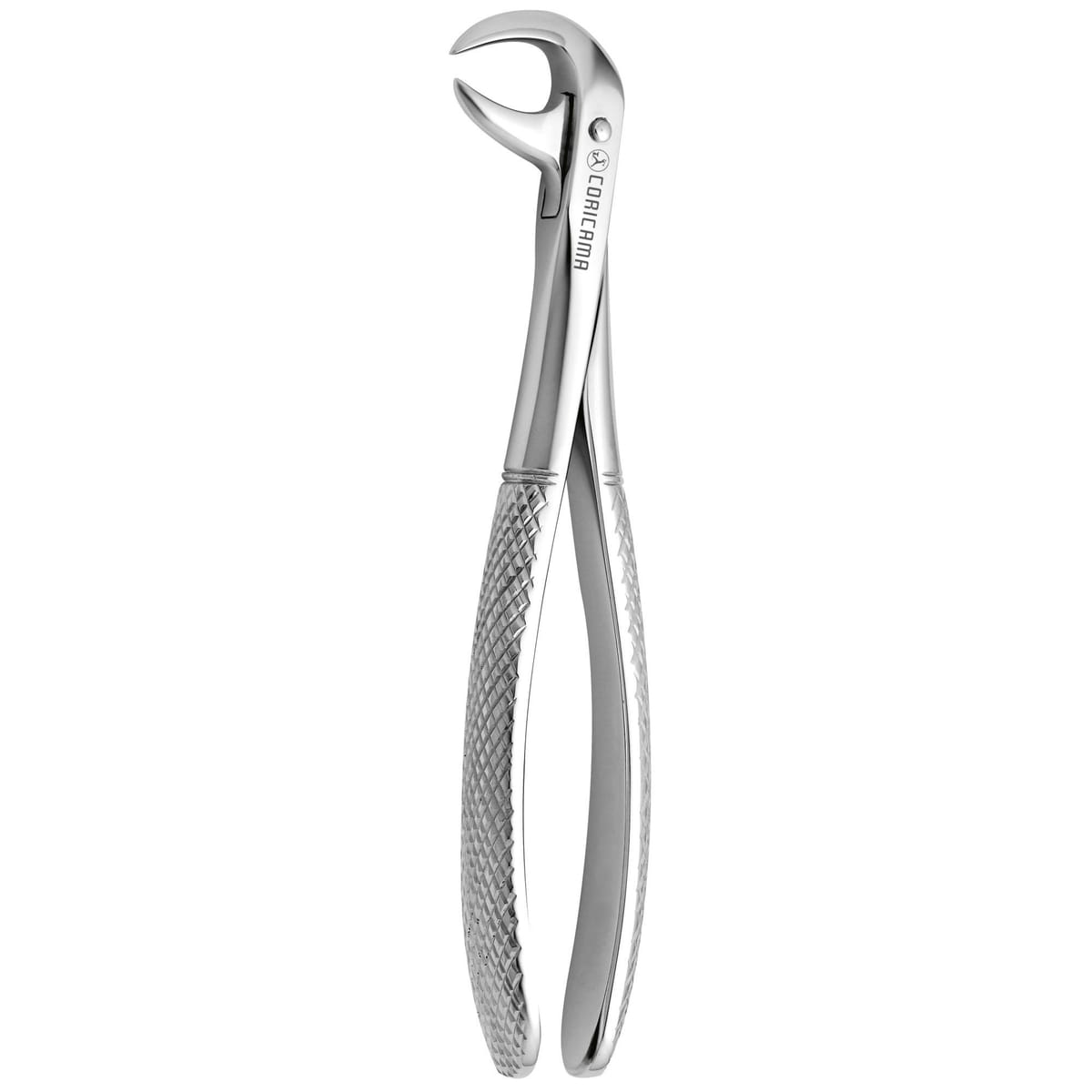 TOOTH FORCEPS COW HORN N.86 625860 – Coricama srl, Extraktionszangen
