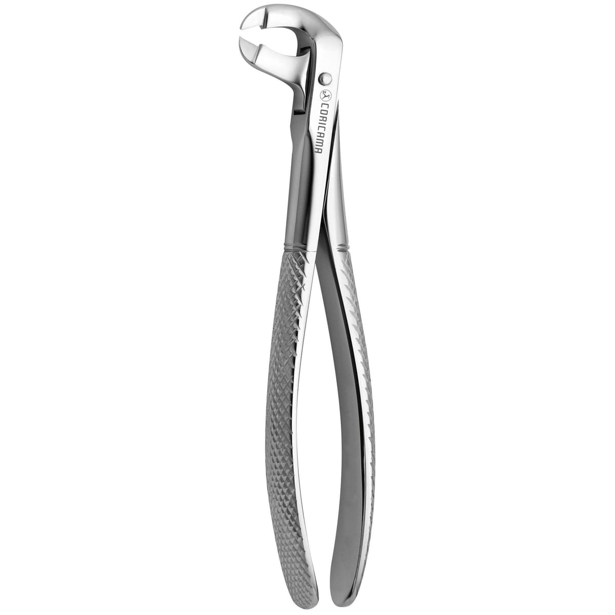 TOOTH FORCEPS COW HORN N.91 625870 – Coricama srl, Extraktionszangen