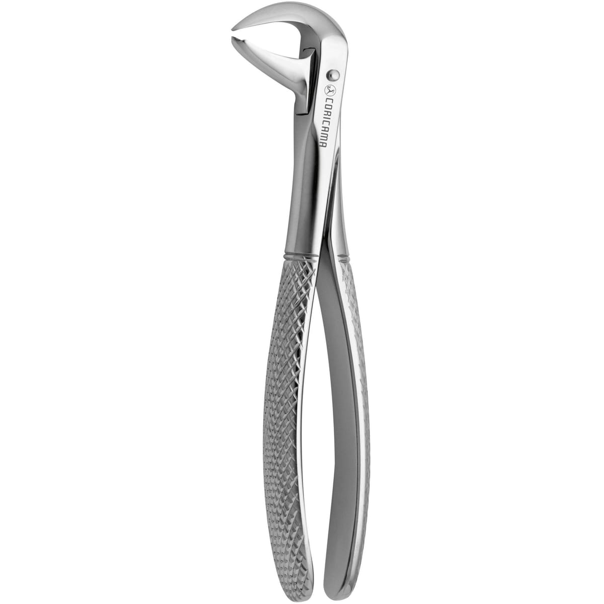 TOOTH FORCEPS COW HORN N.99 625880 – Coricama srl, Extraktionszangen