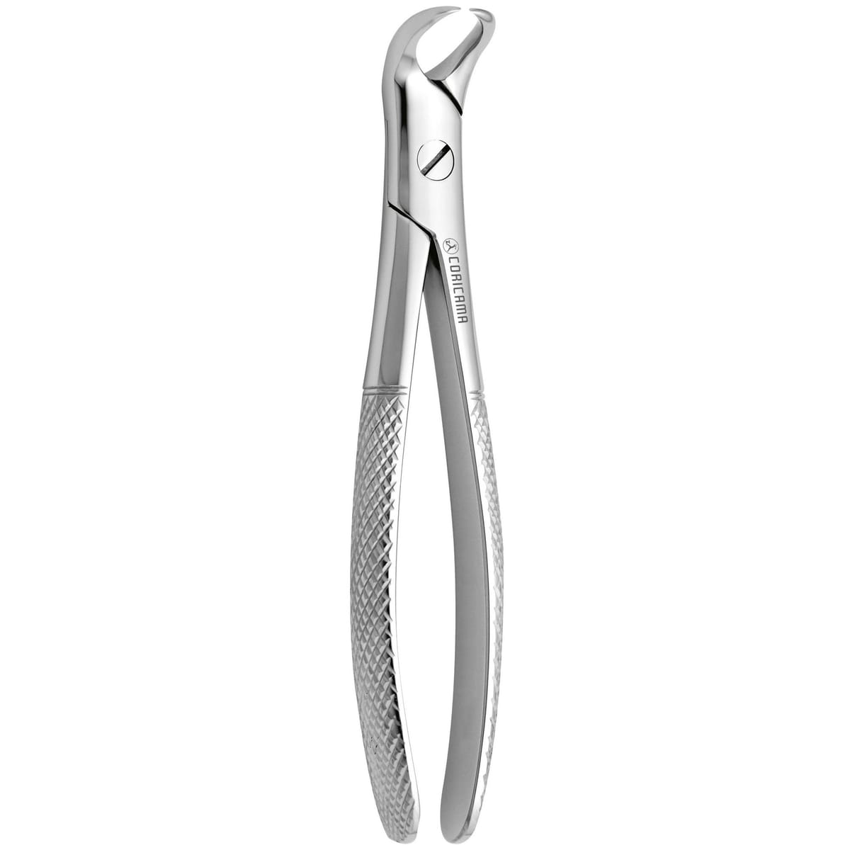 TOOTH FORCEPS COW HORN N.87 625890 – Coricama srl, Extraktionszangen