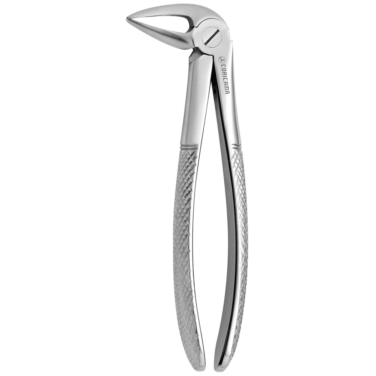 TOOTH FORCEPS N. 33-L 625920 – Coricama srl, Extraktionszangen