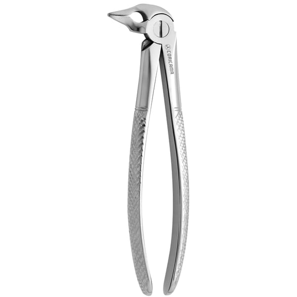 TOOTH FORCEPS N.185 625980