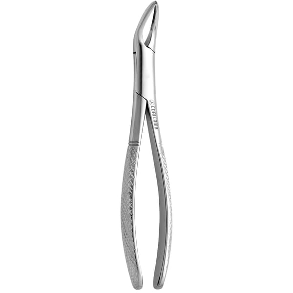 TOOTH FORCEPS WITZEL - UPPER 626160