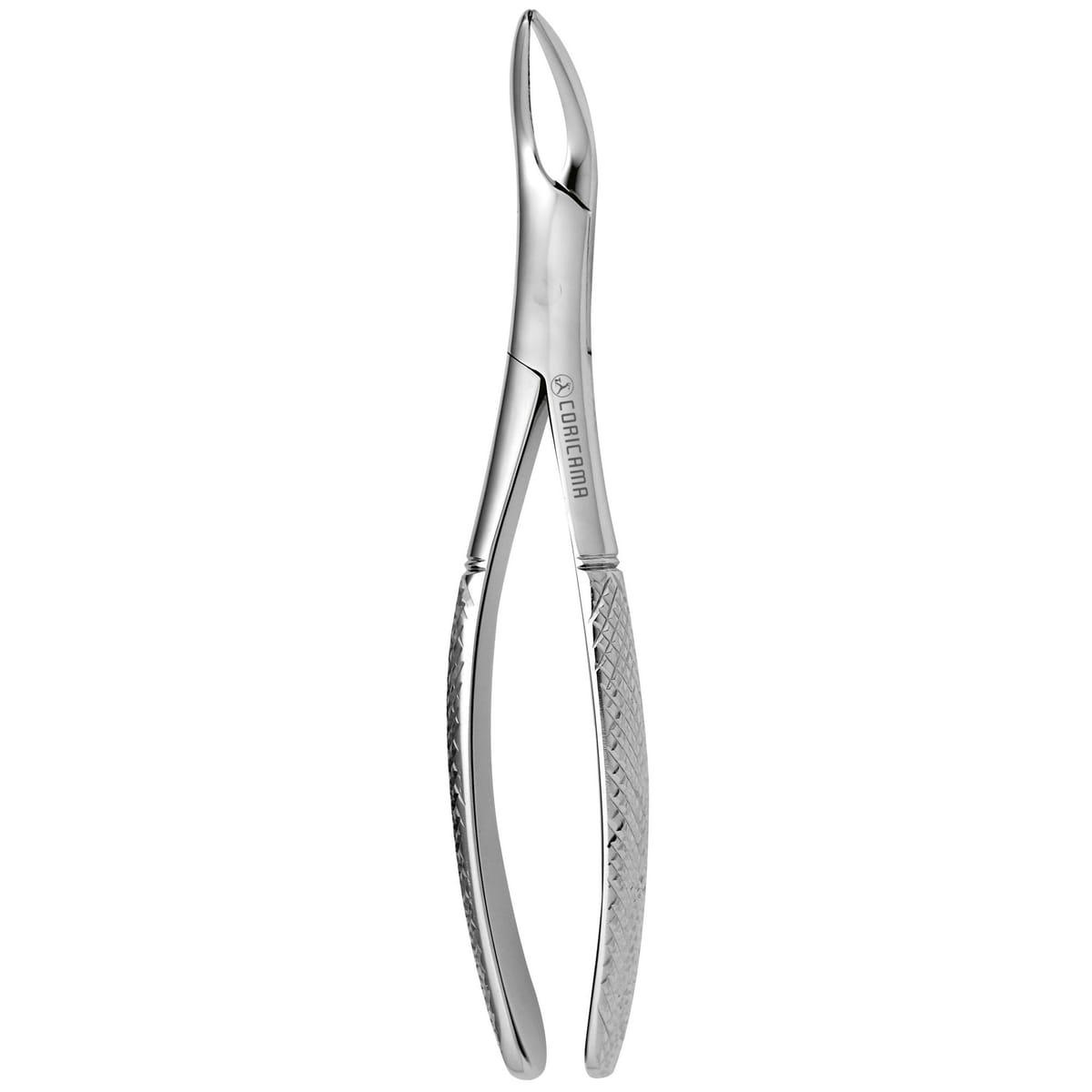 TOOTH FORCEPS WITZEL - LOWER 626170 – Coricama srl, Extraktionszangen