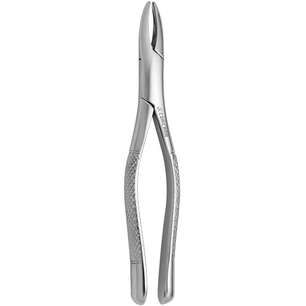 TOOTH FORCEPS AMERICAN N. 1 632110