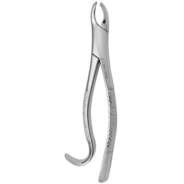TOOTH FORCEPS AMERICAN N. 18-R 632160