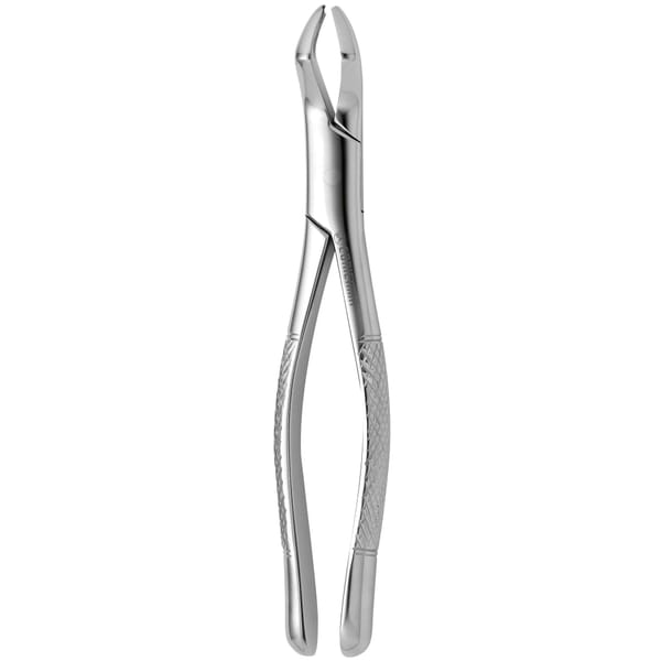 TOOTH FORCEPS AMERICAN N. 53-L 632185