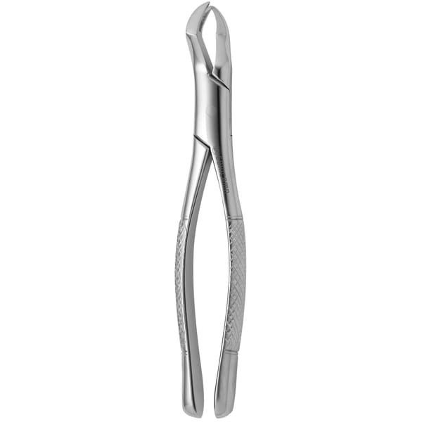 TOOTH FORCEPS AMERICAN N. 88-R 632310