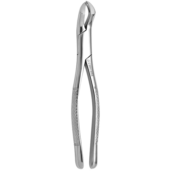 TOOTH FORCEPS AMERICAN N. 88-L 632315